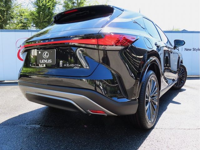 Lexus RX 2023-07 24069-29