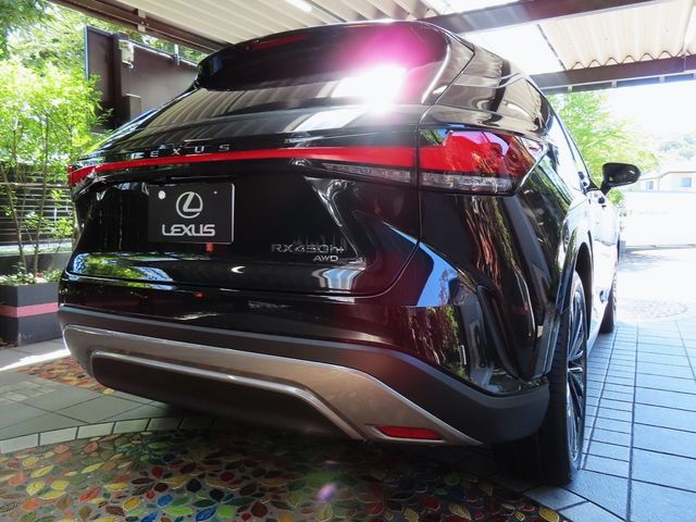 Lexus RX 2023-07 24069-6