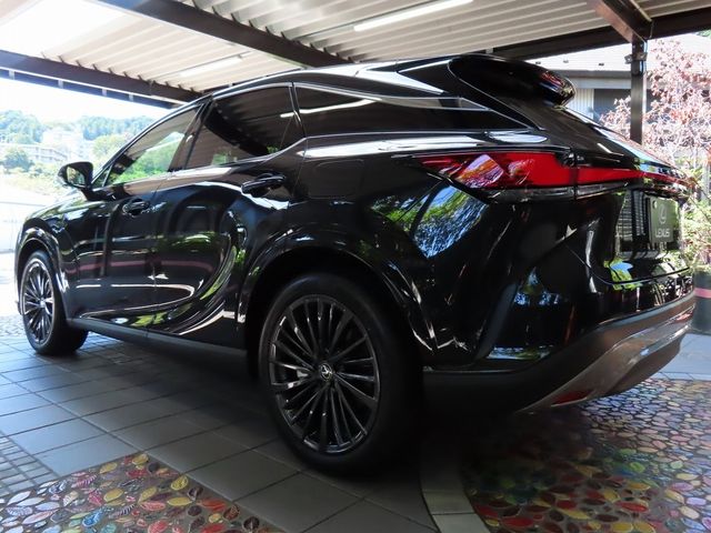 Lexus RX 2023-07 24069-8