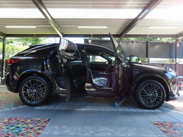 Lexus RX 2023-07 24069-10