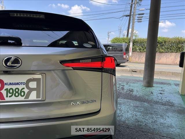 Lexus NX 2018-05 362957-9