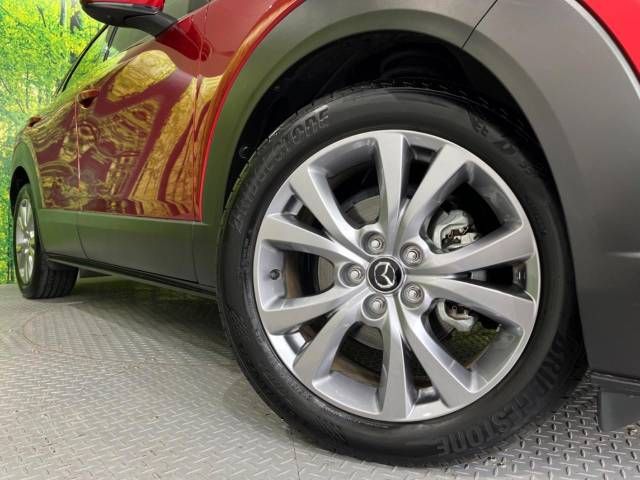 Mazda CX-30 2022-01 19005-13