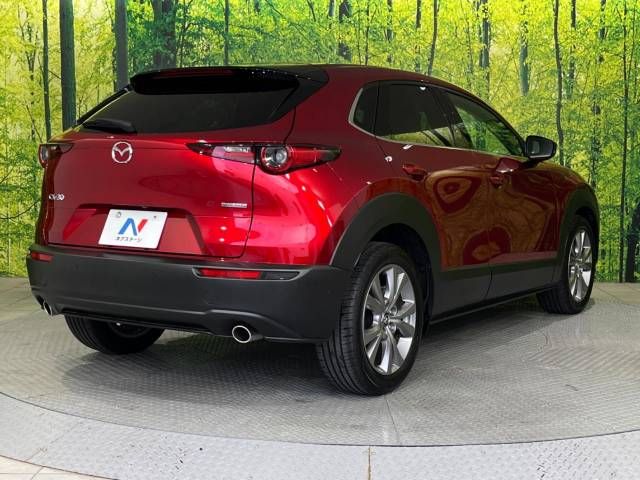 Mazda CX-30 2022-01 19005-17