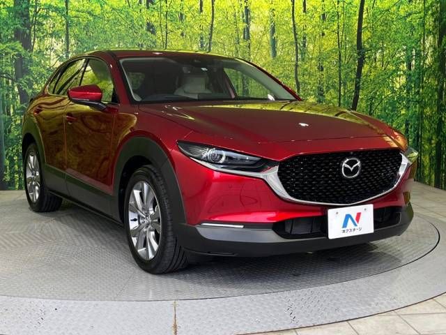 Mazda CX-30 2022-01 19005-16