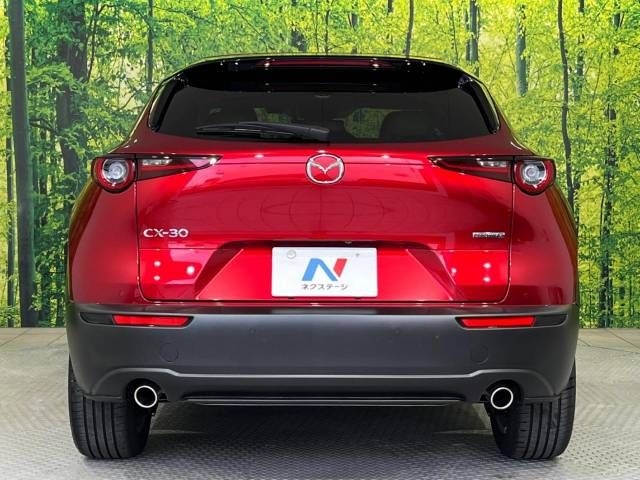 Mazda CX-30 2022-01 19005-15