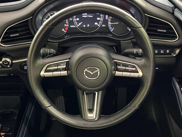 Mazda CX-30 2022-01 19005-11