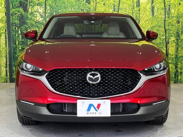 Mazda CX-30 2022-01 19005-14
