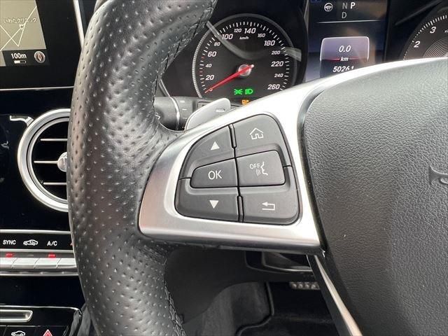 Mercedes Benz GLC-CLASS 2017-08 11700-28