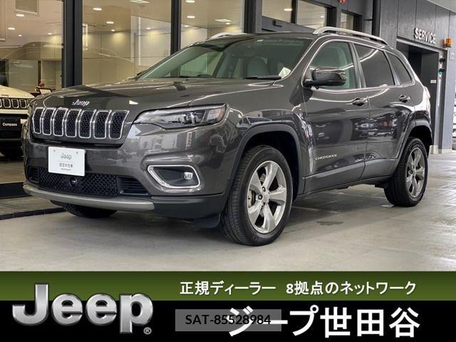 Jeep CHEROKEE 2019-06 298900-0