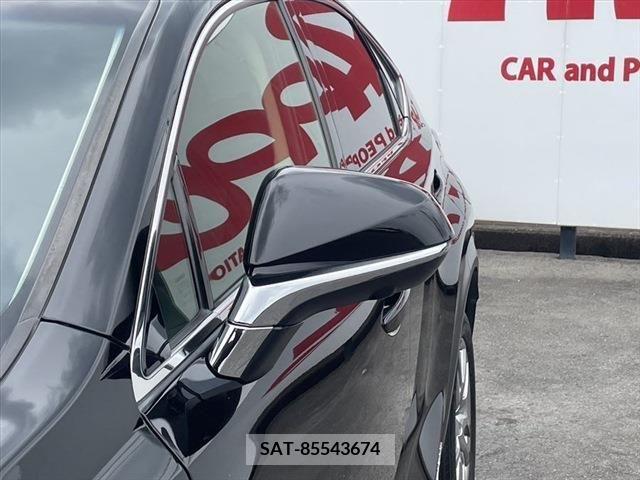 Lexus NX 2015-10 388176-12
