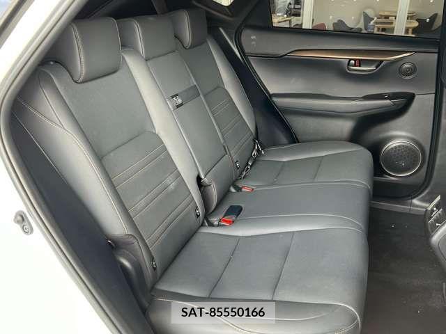Lexus NX 2020-04 275674-13