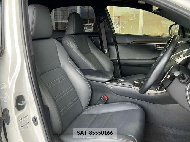 Lexus NX 2020-04 275674-12