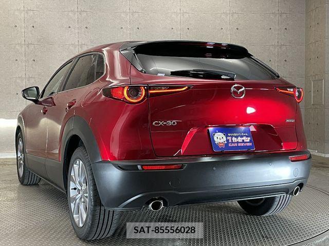 Mazda CX-30 2022-02 295607-2