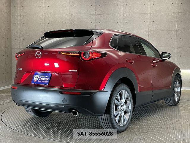 Mazda CX-30 2022-02 295607-3