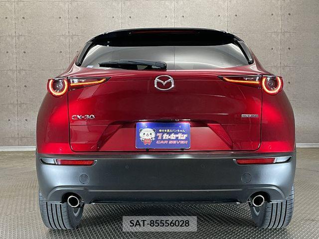 Mazda CX-30 2022-02 295607-5