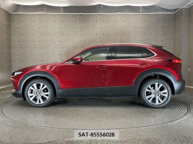 Mazda CX-30 2022-02 295607-6
