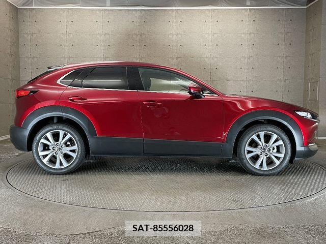 Mazda CX-30 2022-02 295607-7