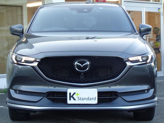 Mazda CX-5 2019-07 13681-5