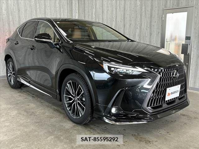 Lexus NX 2024-01 388393-7