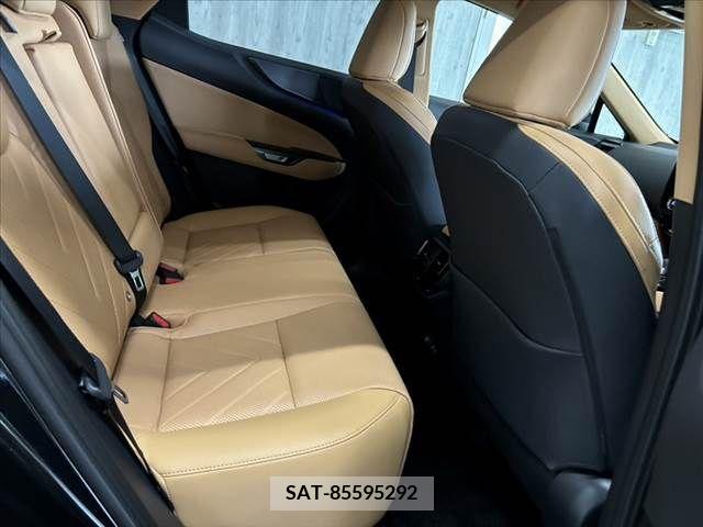 Lexus NX 2024-01 388393-14