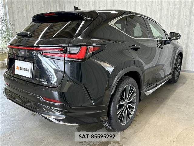 Lexus NX 2024-01 388393-21