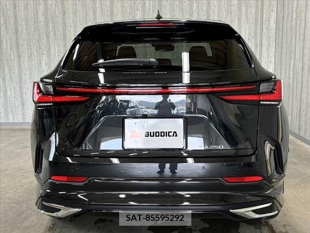 Lexus NX 2024-01 388393-12