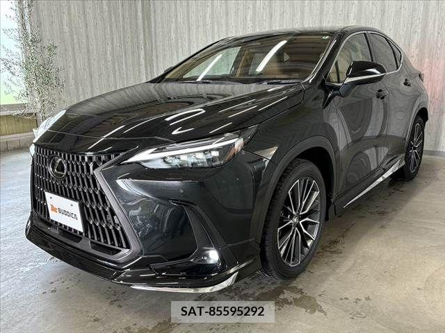 Lexus NX 2024-01 388393-20