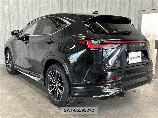 Lexus NX 2024-01 388393-11