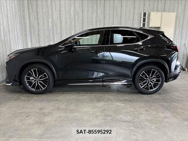 Lexus NX 2024-01 388393-10