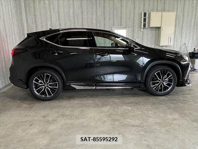 Lexus NX 2024-01 388393-9