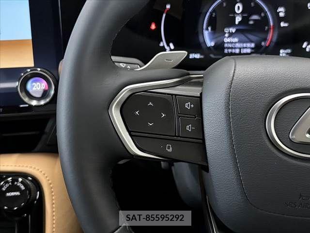 Lexus NX 2024-01 388393-26