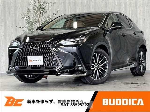 Lexus NX 2024-01 388393-0