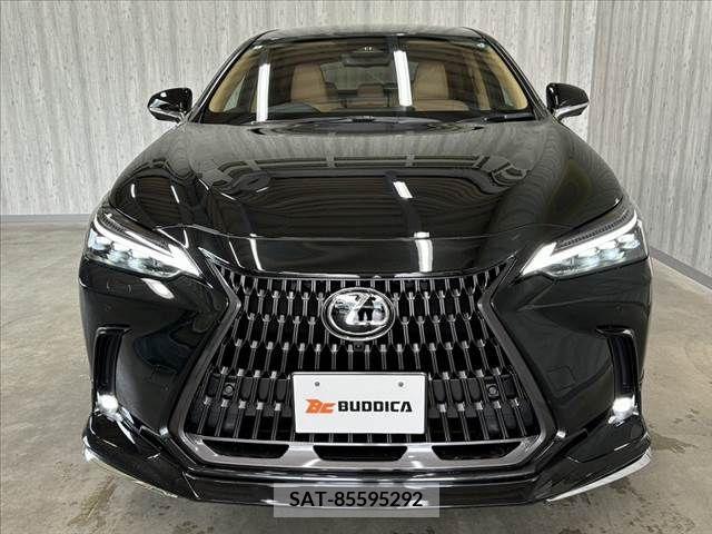 Lexus NX 2024-01 388393-8