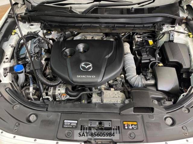 Mazda CX-8 2019-12 266292-19
