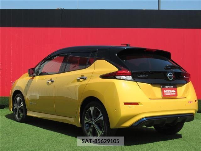 Nissan LEAF 2019-09 324802-1
