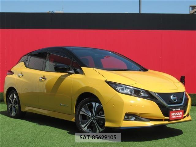Nissan LEAF 2019-09 324802-0