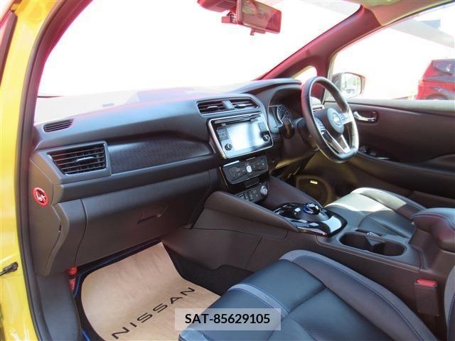 Nissan LEAF 2019-09 324802-5