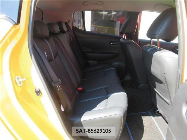 Nissan LEAF 2019-09 324802-4