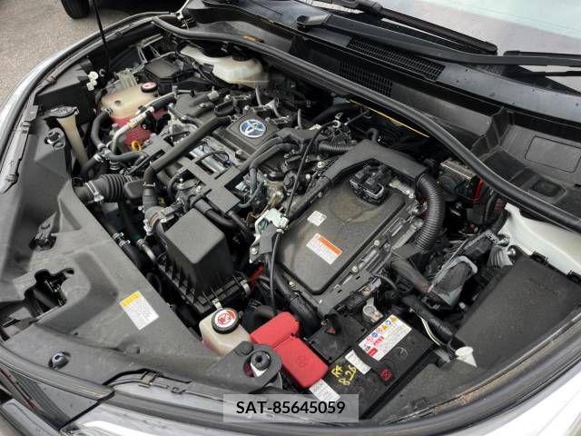 Toyota C-HR 2017-04 248033-18