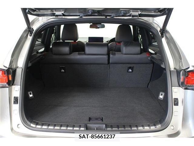 Lexus NX 2017-11 200646-18