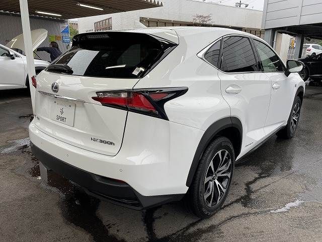 Lexus NX 2016-05 27721-15