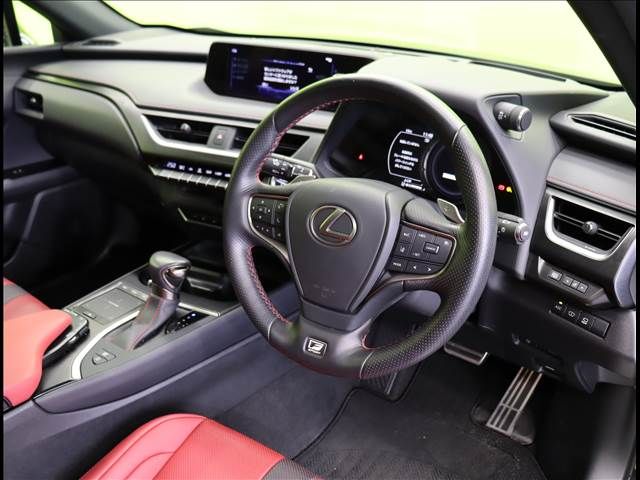 Lexus UX 2020-12 188620-19