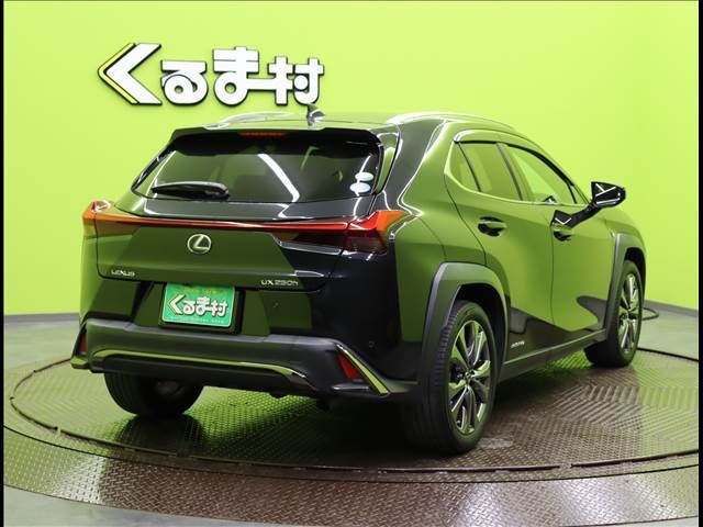 Lexus UX 2020-12 188620-1