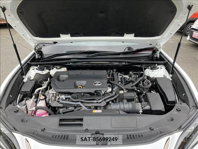 Lexus ES 2022-02 275243-17