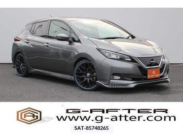 Nissan LEAF 2017-12 352529-0
