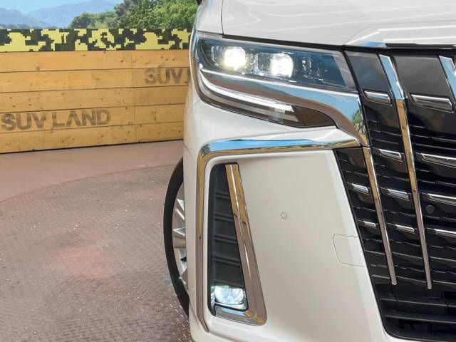 Toyota ALPHARD 2020-11 181392-18