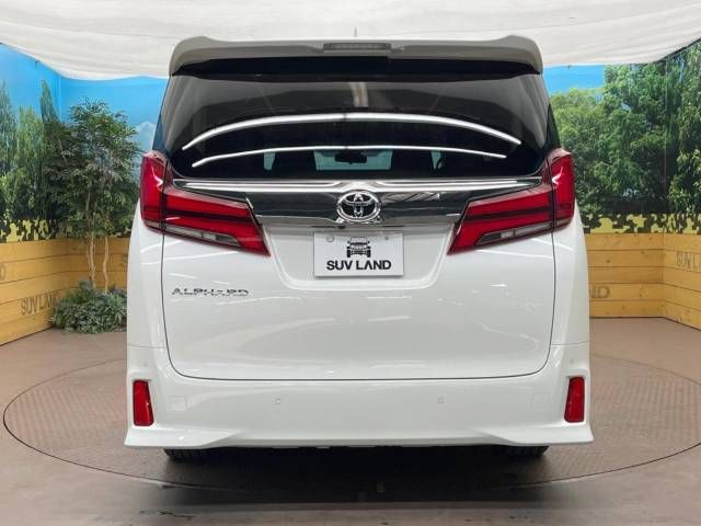 Toyota ALPHARD 2020-11 181392-14