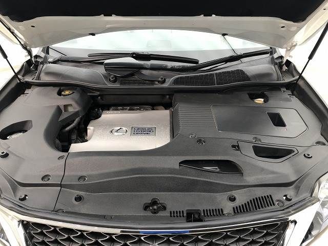 Lexus RX 2011-12 20692-15