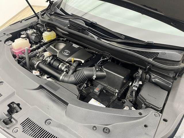 Lexus RX 2018-04 14086-17