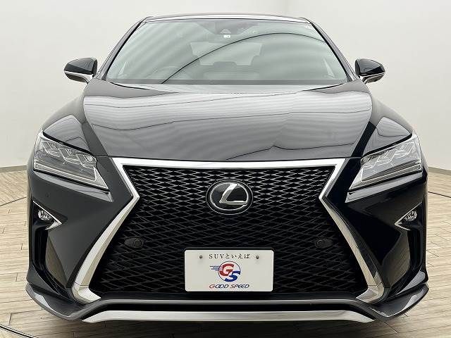 Lexus RX 2018-04 14086-13